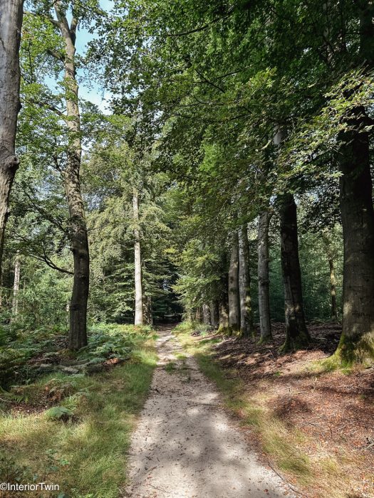ns wandeling veluwezoom 1