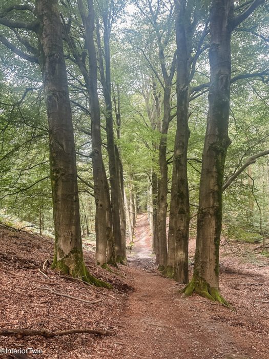 ns wandeling veluwezoom 2